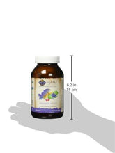 Organic Prenatal Multivitamin Supplement With Folate Mykind Whole Food Prenatal Vitamin Vegan 180 Tablets