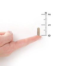 Zinc Vitamin Vitamin Code Raw Zinc Whole Food Supplement With Vitamin C Vegan 60 Capsules