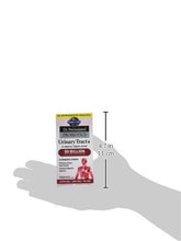 Probiotic Supplement For Urinary Tract Health Dr. Formulated Urinary Tract+ For Digestive And Urinary Tract Support Shelf Stable 60 Capsules