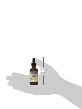 Liquid Melatonin Liquid Natural Citrusvanilla 2 Fluid Ounce