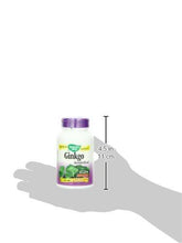 Ginkgo 120 Vcaps