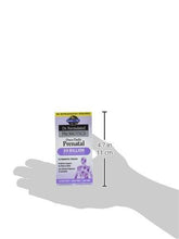 Prenatal Probiotic For Dr. Formulated Once Daily Prenatal For Digestive And Gut Health Shelf Stable 30 Capsules