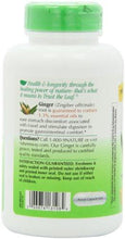 Ginger Root 550Mg 180 Capsules Pack Of 2