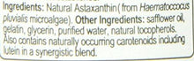 Bioastin An Astaxanthin – 50 Ct – 12Mg Original High Potency One Per Day Formula Supports Joint Skin Eye Health Naturally –A Superantioxidant Grown In