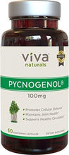 Pycnogenol 100Mg 60 Veggie Capsules Proprietary French Pine Bark Extract