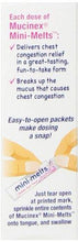 Children Mini Melts Chest Congestion Bubble Gum 12Ct