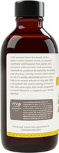Cold Pressed And Hexane Free Organic Jojoba Oil Golden 4 Oz