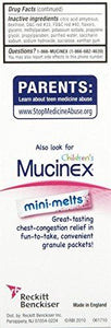 Children Expectorant Nasal Decongestantmixed Berry4 Oz