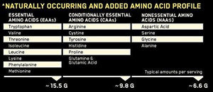 Platinum Hydrowhey Protein Powder Hydrolyzed Whey Protein Powder Flavor: Turbo Chocolate 3.5 Pounds