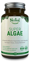 Super Algae Spirulina 250Mg + Chlorella 250Mg Organic | Boost Immunity Gut Health Organic Cleanse Fight Seasonal Allergies Antioxidant Superfood Capsule: Bluegreen Algae Green Algae