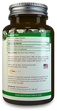 Choline 550Mg | Supports Memory + Cognitive Function | Vital For Pregnant Mothers Seniors | Also Promotes Brain Nervous System Cell Infant Health | Vegan Nongmo Supplement |