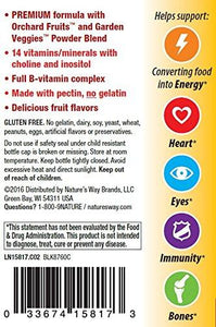Alive! Premium Formula Multivitamin Adult Gummies 90 Count