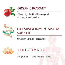 Probiotic Supplement For Urinary Tract Health Dr. Formulated Urinary Tract+ For Digestive And Urinary Tract Support Shelf Stable 60 Capsules