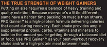 Pro Gainer Protein Powder Banana Cream Pie 10.19 Pounds