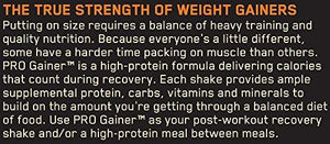 Pro Gainer Protein Powder Banana Cream Pie 10.19 Pounds