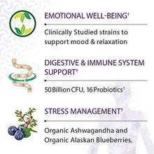 Dr. Formulated Probiotics Mood+ Acidophilus Probiotic Promotes Emotional Health Relaxation Digestive Balance Gluten Dairy And Soyfree 60 Vegetarian Capsules