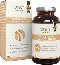 Triple Strength Glucosamine Chondroitin And Msm For Joint Relief 240 Capsules