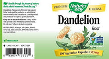 Dandelion Root 525 Mg 100 Capsules