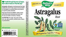 Astragalus Root 470 Mg 180 Vcaps