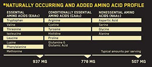 Superior Amino 2222 Tablets 320 Count