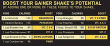 Pro Gainer Protein Powder Double Chocolate 5.09 Pounds