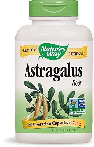 Astragalus Root 470 Mg 180 Vcaps