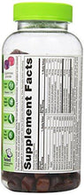 Complete Multivitamin Natural Berry Flavors 220 Gummies