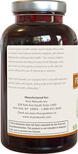 Organic Psyllium Husk 500Mg 500 Vegetarian Capsules The Best Fiber Supplement For Optimal Intestinal Health