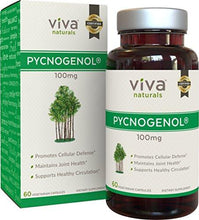 Pycnogenol 100Mg 60 Veggie Capsules Proprietary French Pine Bark Extract