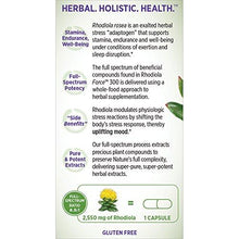 Rhodiola Force 300Mg With Potent Rhodiola For Endurance + Mood Support + Stress Adaptogen + NonGmo Ingredients 30 Ct Vegetarian Capsules