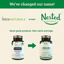 Choline 550Mg | Supports Memory + Cognitive Function | Vital For Pregnant Mothers Seniors | Also Promotes Brain Nervous System Cell Infant Health | Vegan Nongmo Supplement |