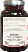 The Best Prenatal Dha For Pregnancy 500 Mg 180 Softgels