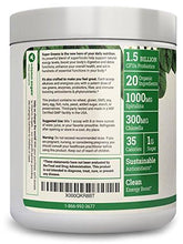 Super Greens | Veggie Greens Superfood Powder 20 Organic Ingredients: Spirulina Chlorella Spinach Broccoli Barley Grass + More Plus Organic Fruits Probiotics And Enzymes | Nongmo No Soy
