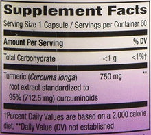 Turmeric Maximum Potency Vegetarian Capsules 60 Count