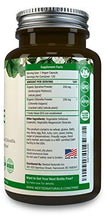 Super Algae Spirulina 250Mg + Chlorella 250Mg Organic | Boost Immunity Gut Health Organic Cleanse Fight Seasonal Allergies Antioxidant Superfood Capsule: Bluegreen Algae Green Algae