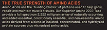 Superior Amino 2222 Tablets 320 Count