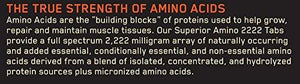 Superior Amino 2222 Tablets 320 Count
