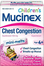 Children Mini Melts Chest Congestion Bubble Gum 12Ct