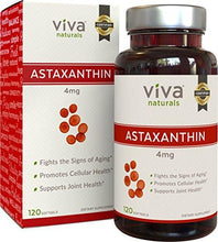 Premium Astaxanthin 4Mg 120 Softgels