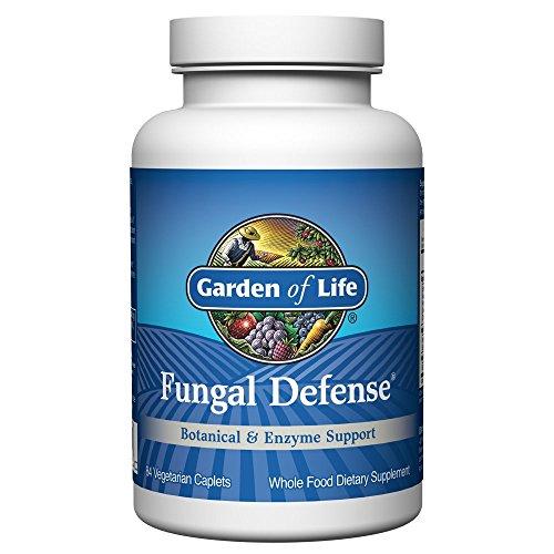 Botanical Enzyme And Fermented Whole Food Supplement Fungal Defense For Digestive Health Vegetarian 84 Caplets
