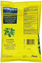 Big Bag Sugar Free Lemon Mint Cough Drops 45 Drops 1 Count