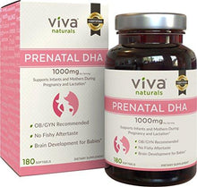 The Best Prenatal Dha For Pregnancy 500 Mg 180 Softgels