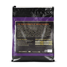 Pro Gainer Protein Powder Banana Cream Pie 10.19 Pounds