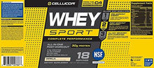 Whey Sport Protein Powder AllInOnePostWorkout Supplement Chocolate 18 Servings
