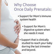 Prenatal Probiotic For Dr. Formulated Once Daily Prenatal For Digestive And Gut Health Shelf Stable 30 Capsules