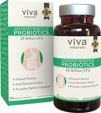 Advanced Probiotics 60 Caps 25 Billion Cfu Bioxtend Technology For Targeted Release And Increased Absorption