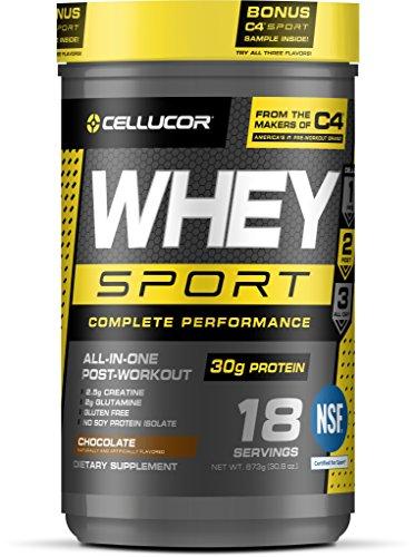 Whey Sport Protein Powder AllInOnePostWorkout Supplement Chocolate 18 Servings