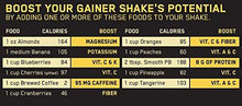 Pro Gainer Protein Powder Banana Cream Pie 5.09 Pounds