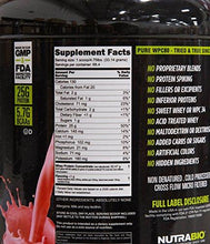 Nutrabio Classic Whey Protein Powder Strawberry Smoothie 5 Lb