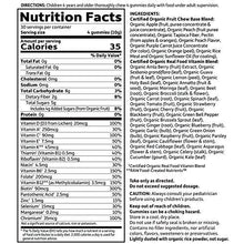 Gummy Vitamin For Kids Mykind Organics Gummy Multivitamin For Kids 120 Count Certified Organic Fruit Chews